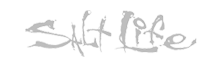 logo_salt