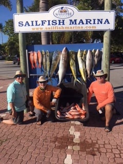sf marina